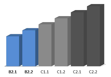 The image shows a bar chart with six ascending bars that increase in height from left to right. The first two bars are highlighted in blue, while the other four bars are in shades of gray. The bars represent language levels B2.1, B2.2, C1.1, C1.2, C2.1, and C2.2. Each step shows a further deepening and increase in language proficiency up to the highest level, C2.